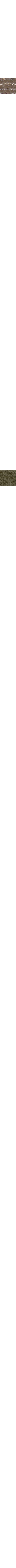 Slate Grey