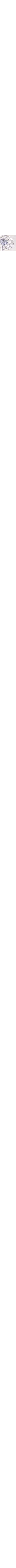 Écru à motifs