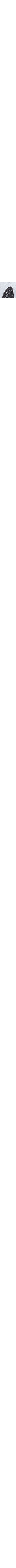 Blanc et noir