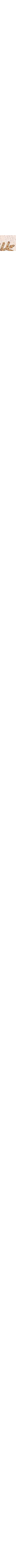 Écru à motifs