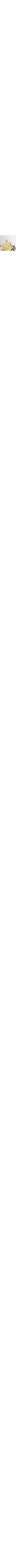 Écru à motifs