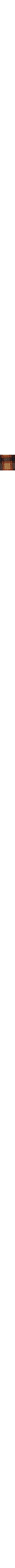Brun à motifs