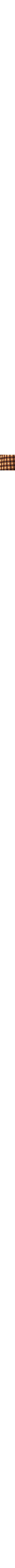 Brun à motifs