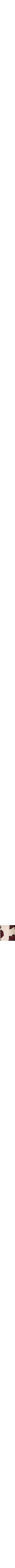 Patterned Cream