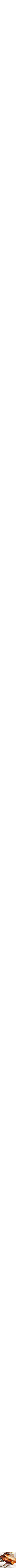 Blanc à motifs