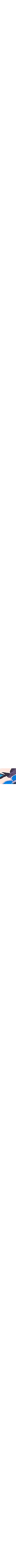 Bleu à motifs