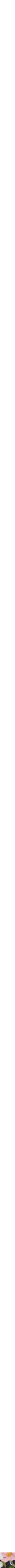 Assorti