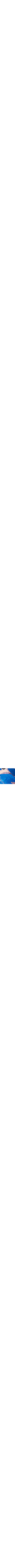 Patterned Blue