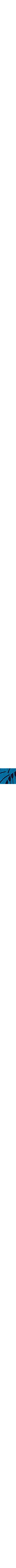 Patterned Blue