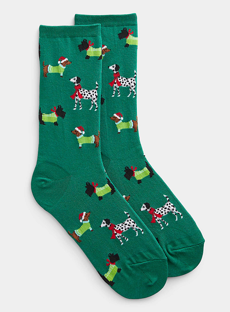 Hot Sox Green Winter dog sock for women