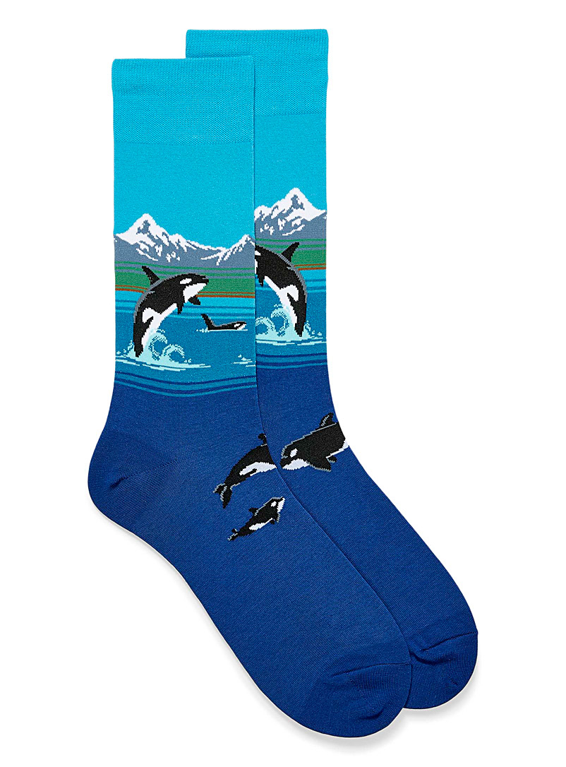 Hot Sox Teal Arctic orcas socks for men