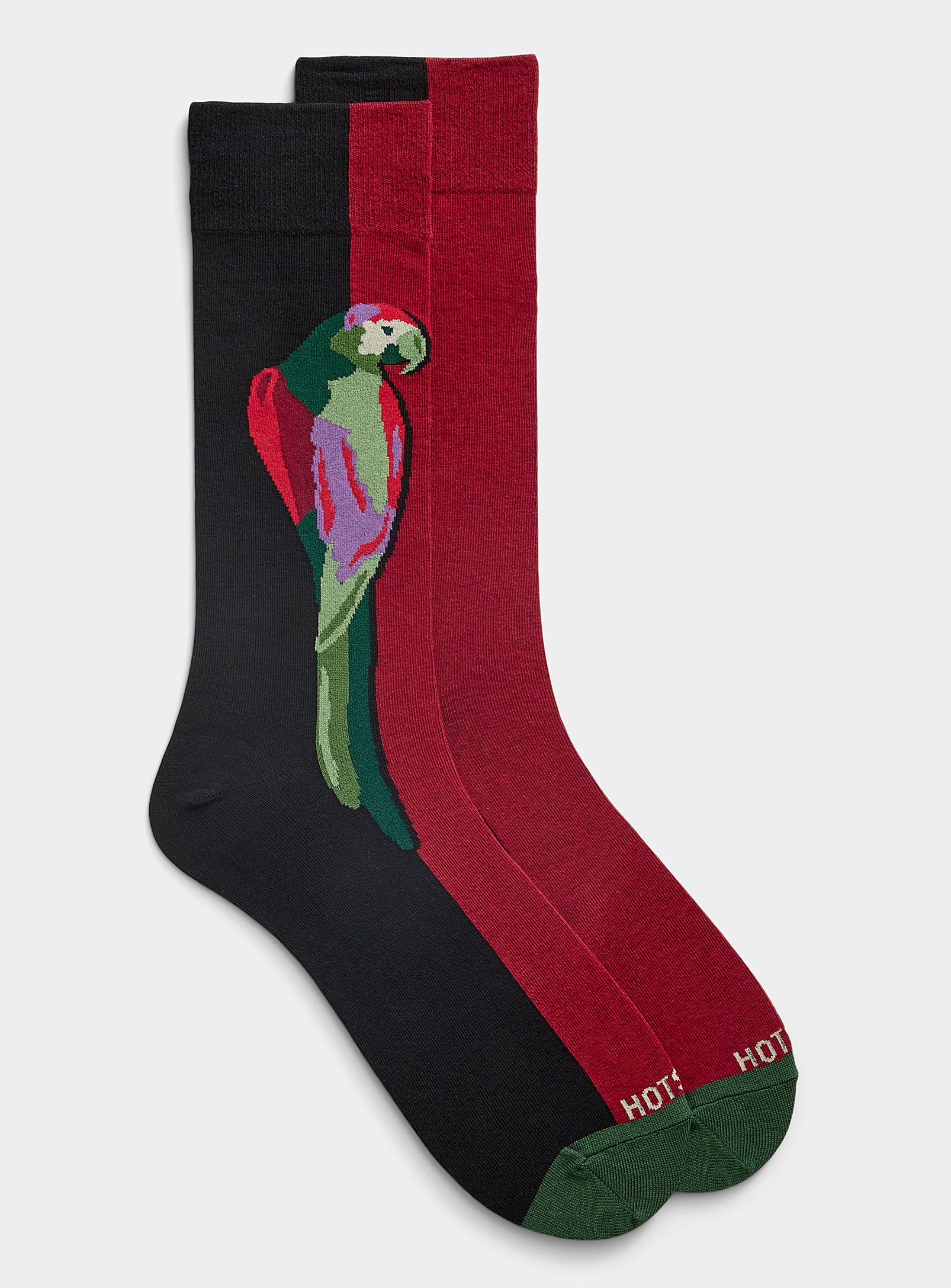 Hot Sox Parrot Two-tone Sock In Multi