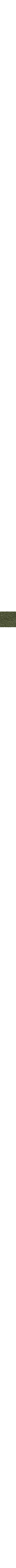 Vert à motifs