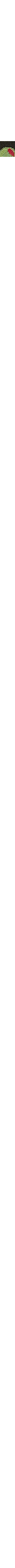 Noir à motifs