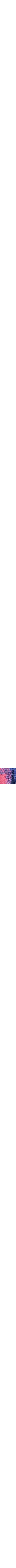 Bleu à motifs
