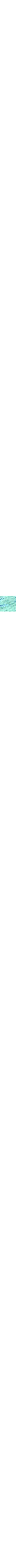Vert assorti