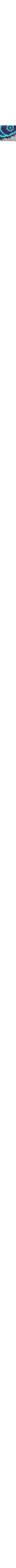 Gris à motifs