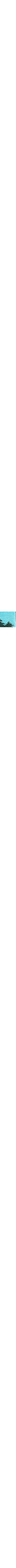 Vert à motifs