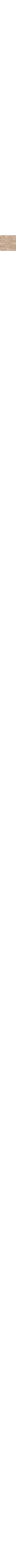 Patterned Ecru