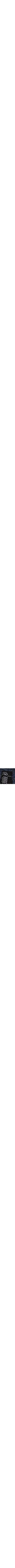 Patterned Blue
