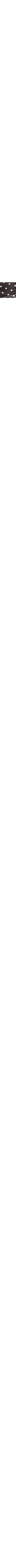 Blanc et noir