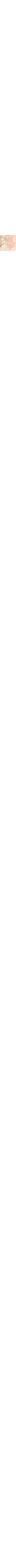Écru à motifs