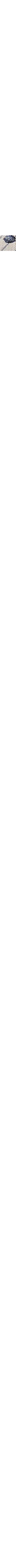 Patterned Ecru