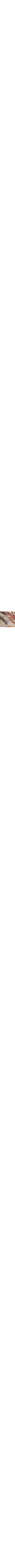 Orange à motifs