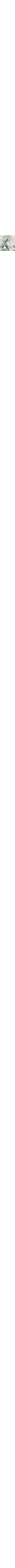 Vert à motifs