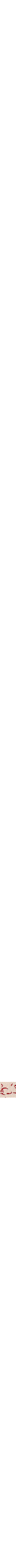 Rouge à motifs