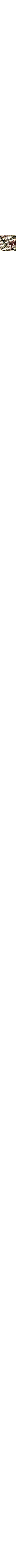 Écru à motifs