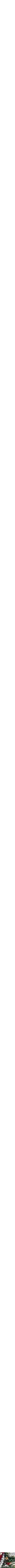 Assorti