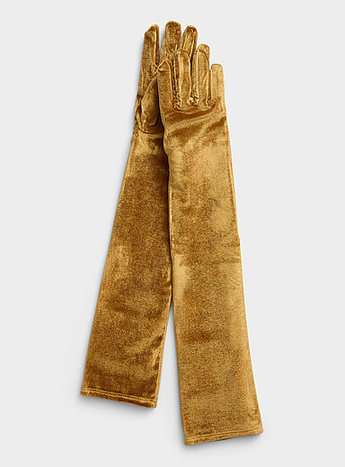 Le long gant velours