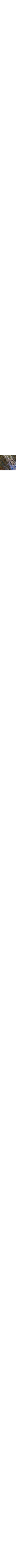 Brun à motifs