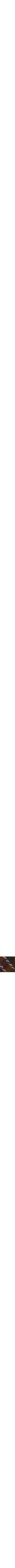 Bourgogne