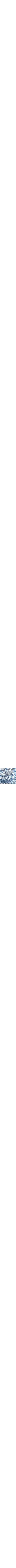 Patterned Blue