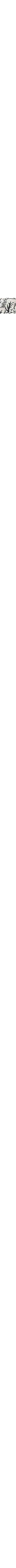 Blanc à motifs