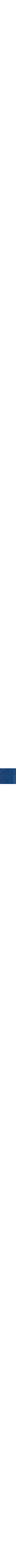 Bleu à motifs