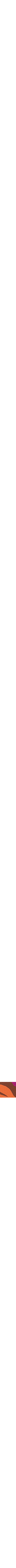 Rouge à motifs