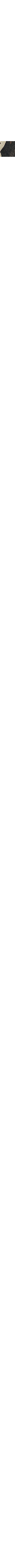 Noir à motifs