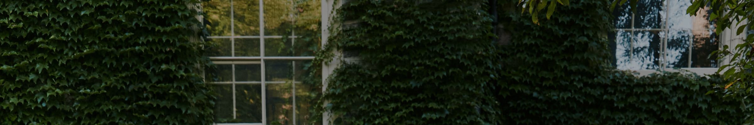 A detail from a photograph showing windows surrounded by dense vegetation.
