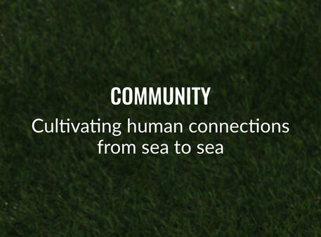 Community