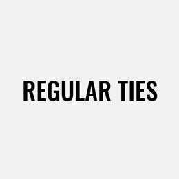 Regular ties for men at Le 31