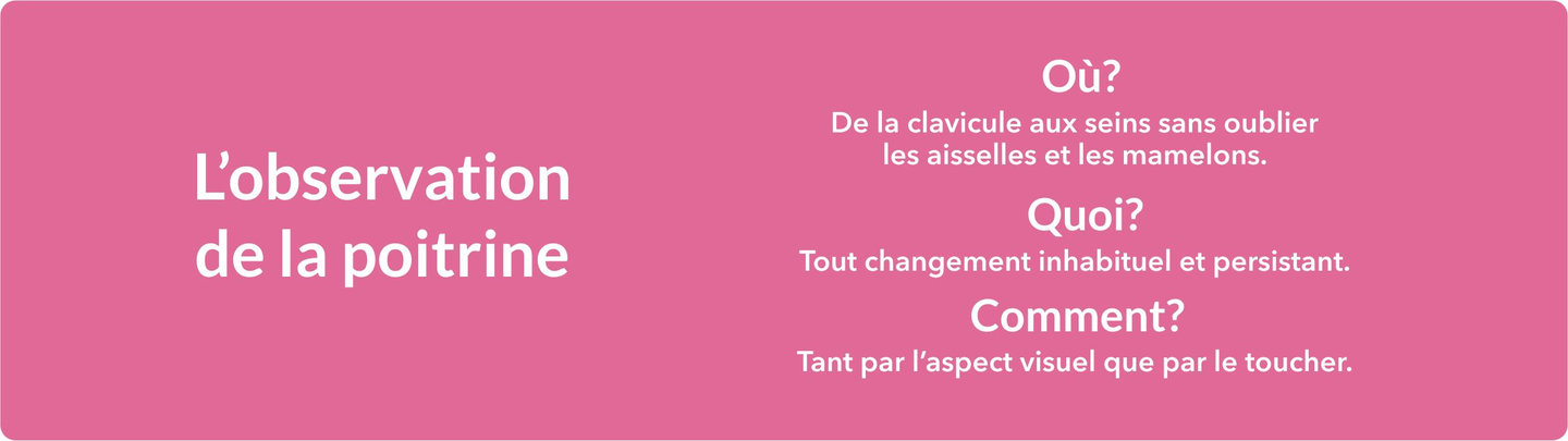 L'observation de la poitrine