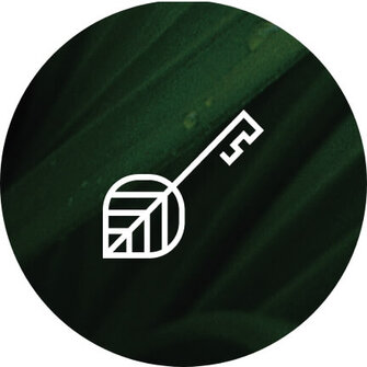 Pictogramme de clé du programme de fidélité Les Simons