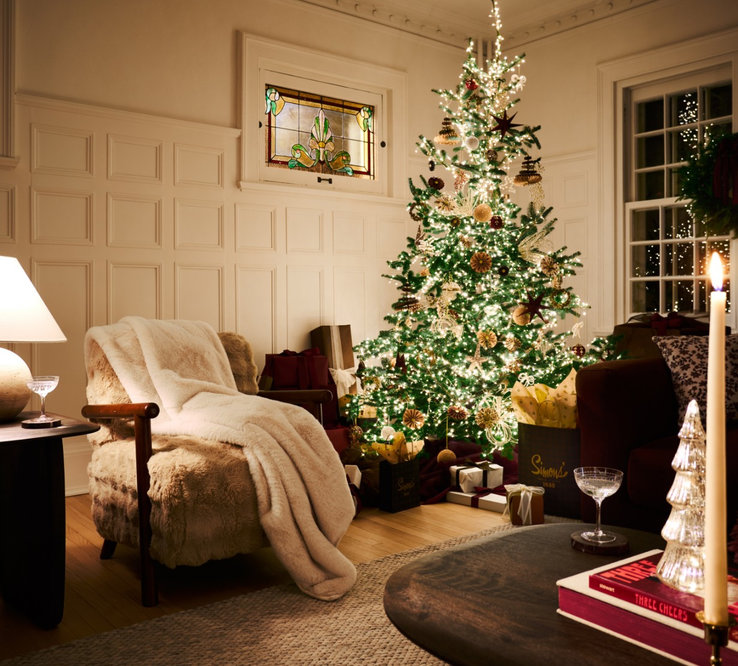 Living room sumptuous decor