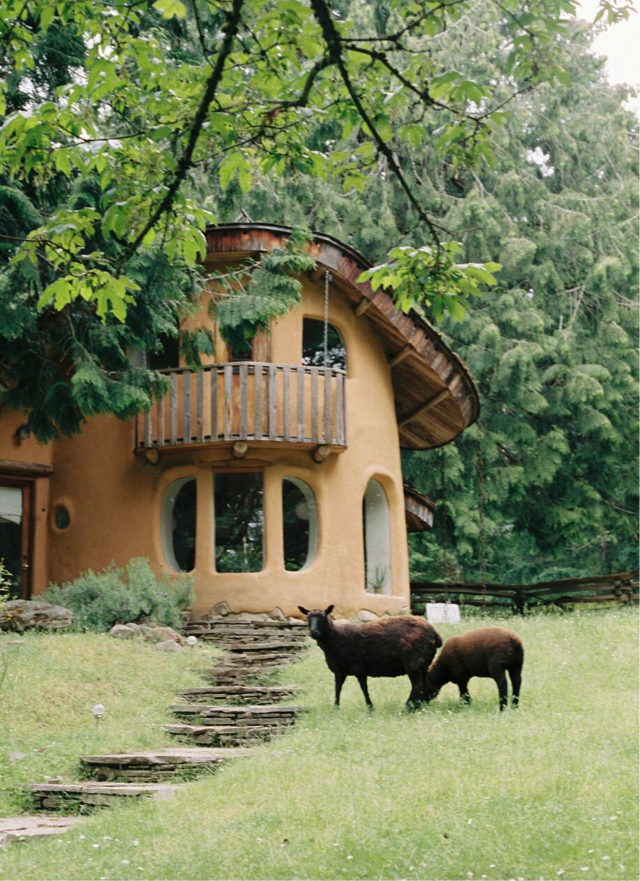 Small woman in the woods with two sheeps