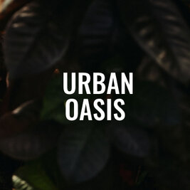 Urban Oasis