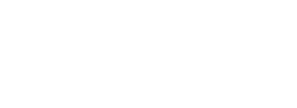 Le sneaker Japan