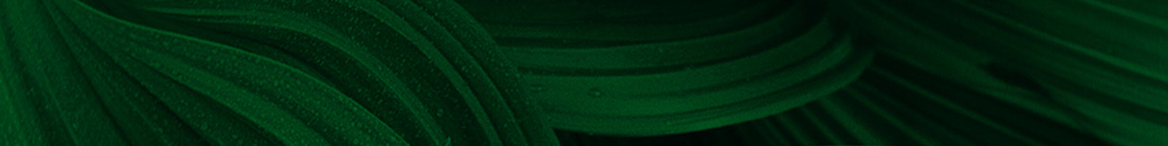 The Simons leaf